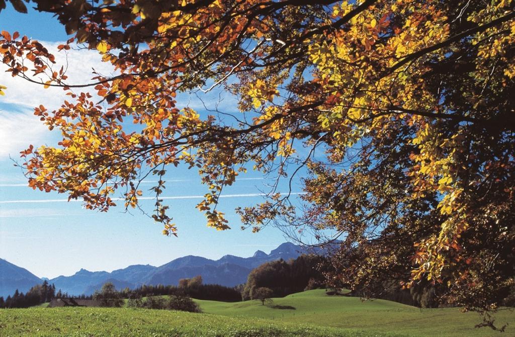 Haus Gruber Hotel Attersee Buitenkant foto