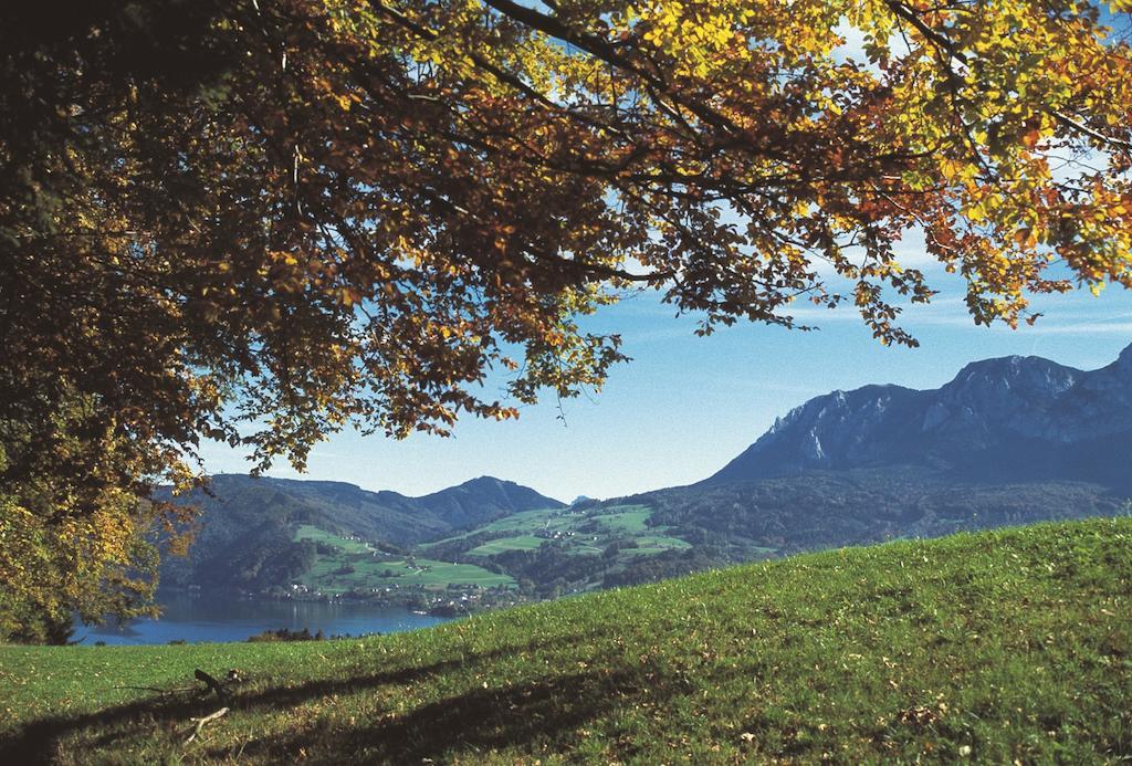 Haus Gruber Hotel Attersee Buitenkant foto